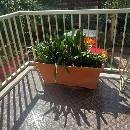 Casa Liliana